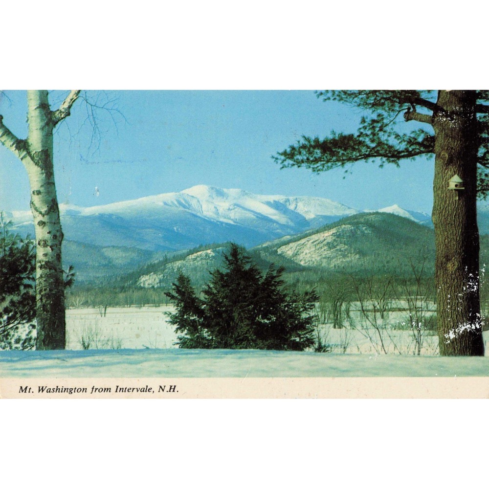 Vintage Mt Washington from Intervale NH Postcard 1975 Winter Scene Dick Smith - Picture 1 of 2